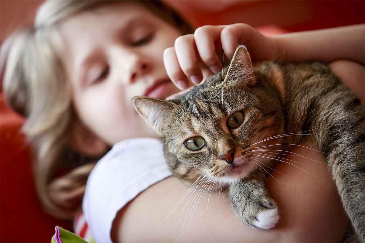 Chat